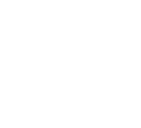 100 HOODZ